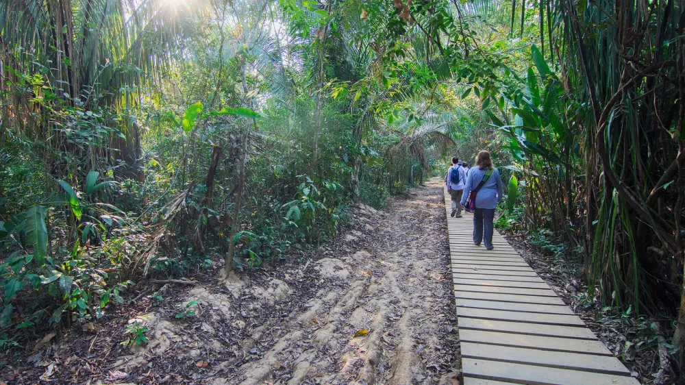 hikers in amazon rainforest.